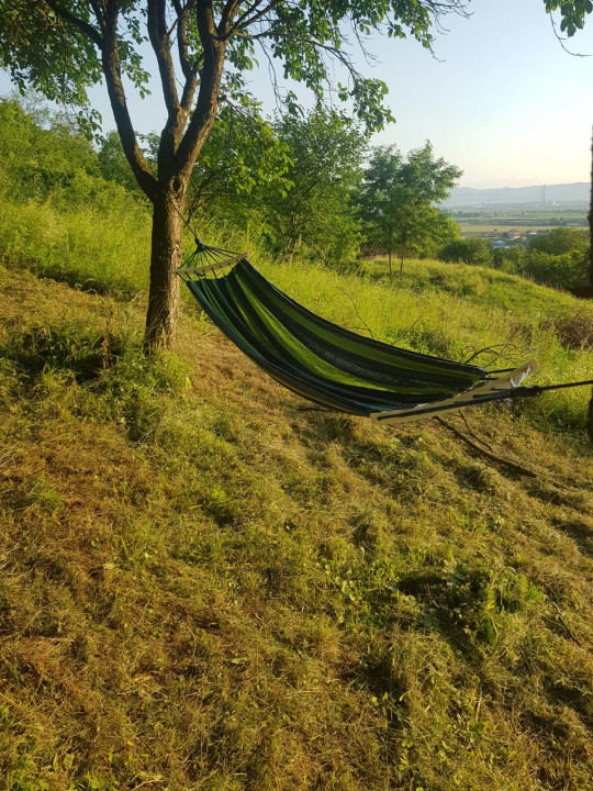 Teren Buhoci langa Padure