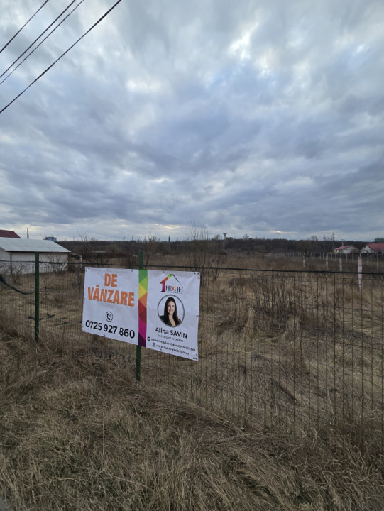 Teren Industrial Ciresoaia