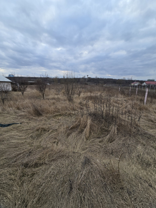 Teren Industrial Ciresoaia