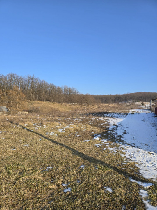 Teren 1 ha, deschidere spre padure, Sanduleni