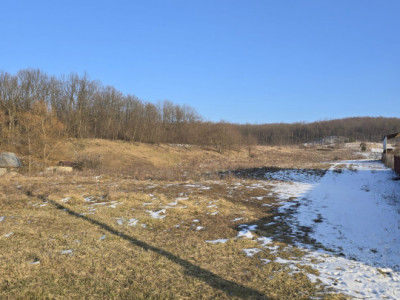 Teren 1 ha, deschidere spre padure, Sanduleni