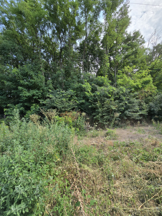 Casa langa Parcul Dendrologic
