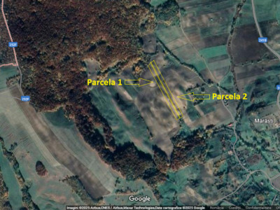 Teren extravilan, 3,5 ha - Filipeni