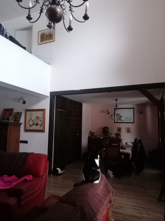 Casa spatioasa Traian 