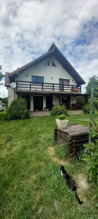 Casa spatioasa Traian 