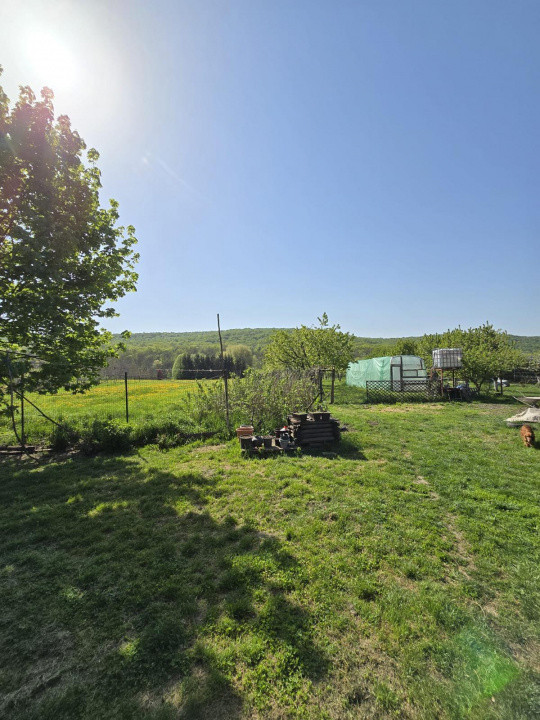 Casa spatioasa Traian 