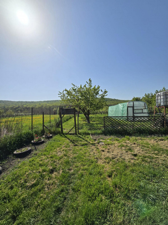 Casa spatioasa Traian 