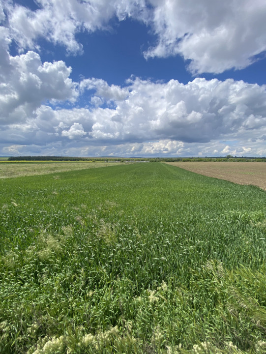 Teren extravilan, zona Itești, 8800 mp