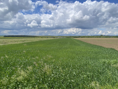 Teren extravilan, zona Itești, 8800 mp