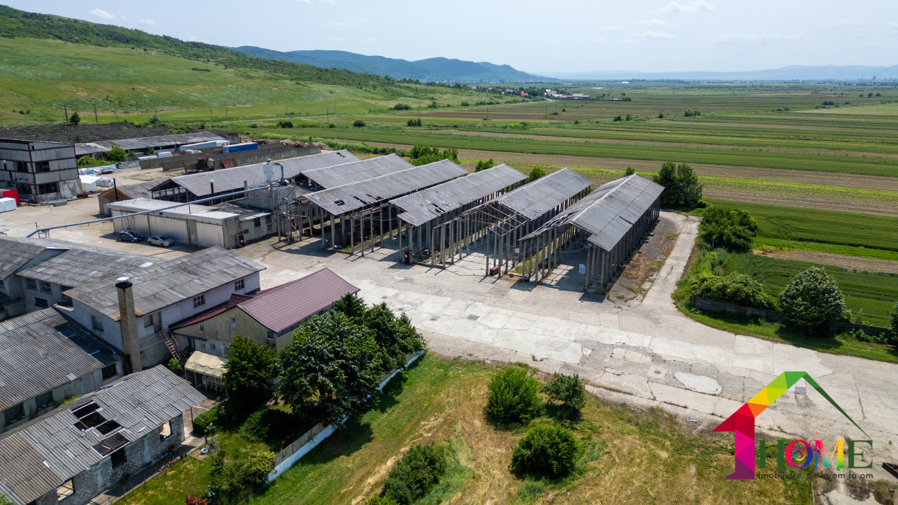 Teren 10.000 mp + Spatii Industriale