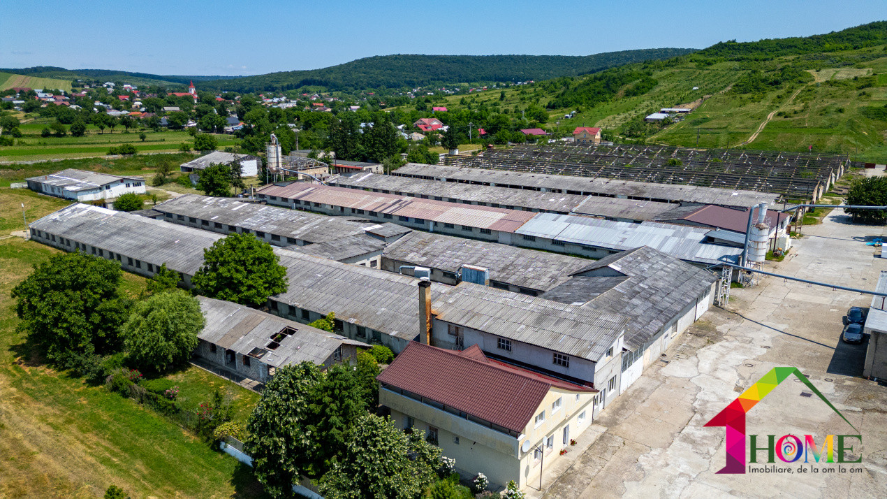 Teren 10.000 mp + Spatii Industriale