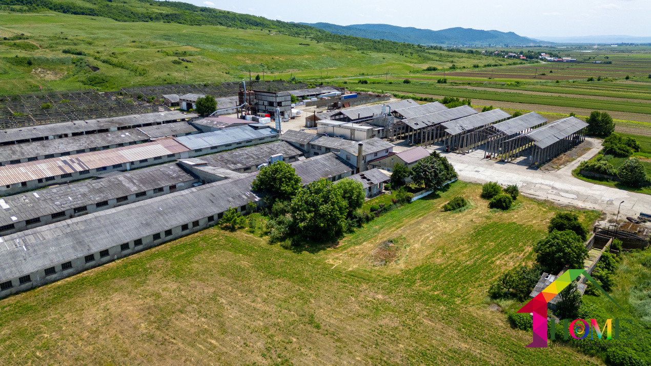 Teren 10.000 mp + Spatii Industriale