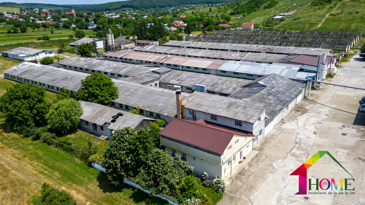 Teren 10.000 mp + Spatii Industriale