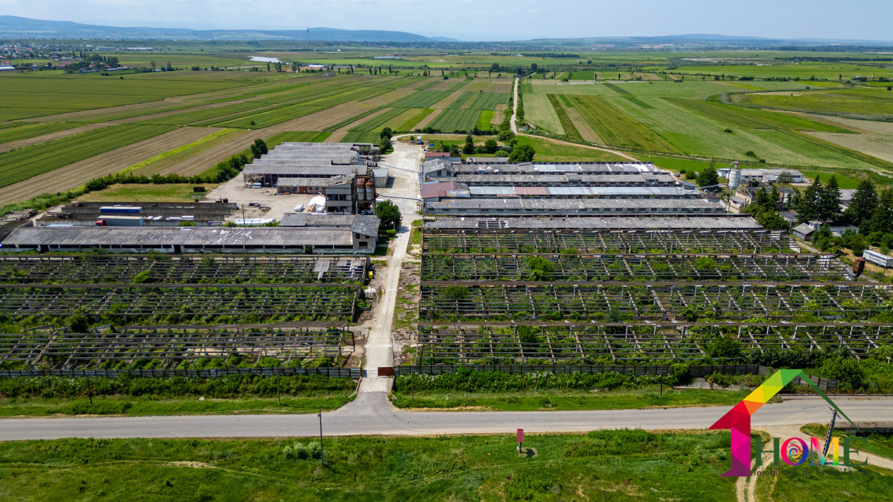 Teren 10.000 mp + Spatii Industriale