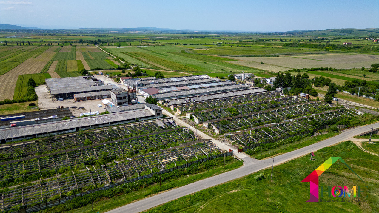 Teren 10.000 mp + Spatii Industriale