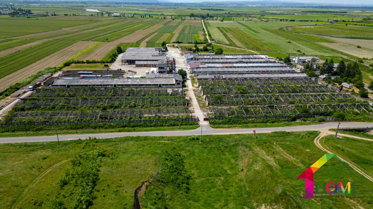 Teren 10.000 mp + Spatii Industriale