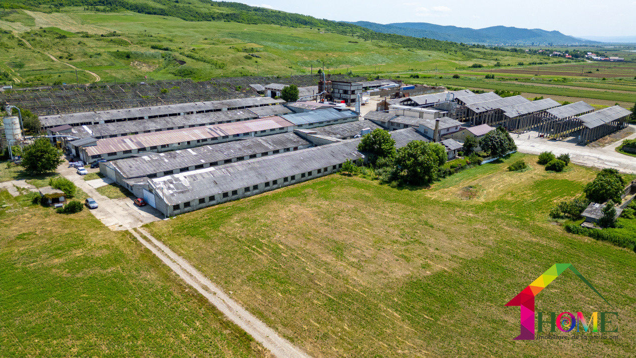Teren 10.000 mp + Spatii Industriale