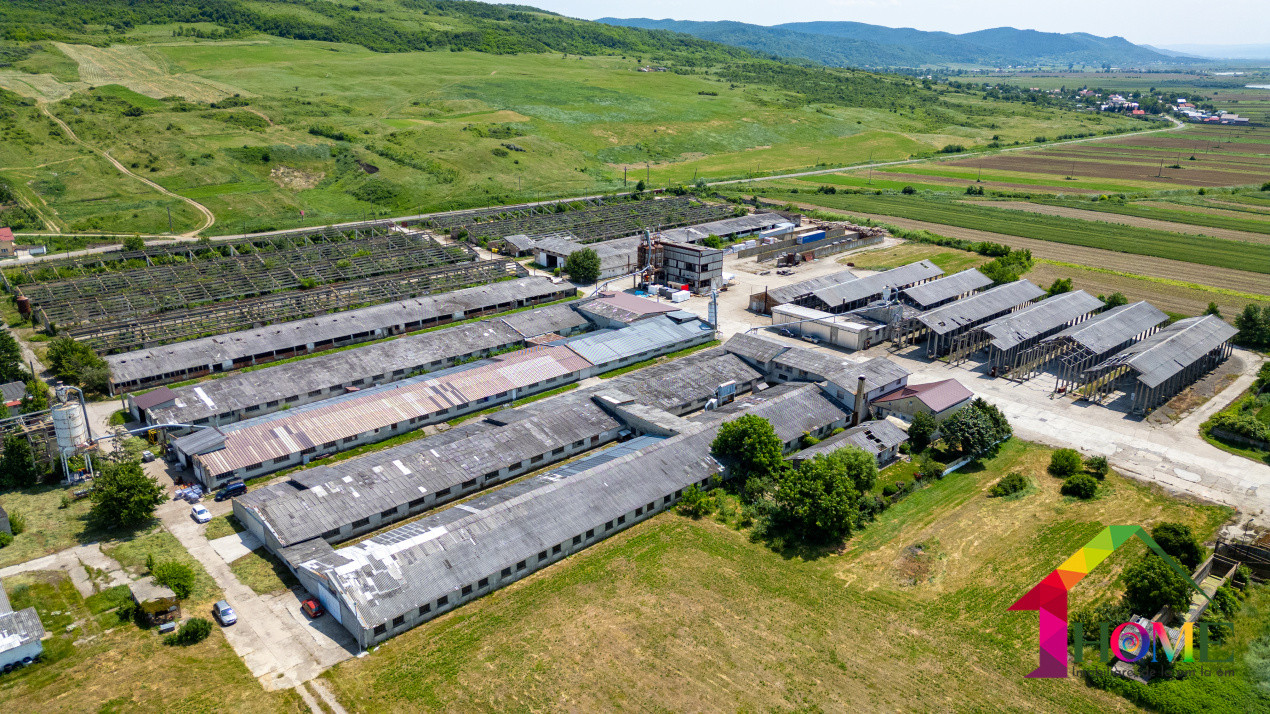 Teren 10.000 mp + Spatii Industriale