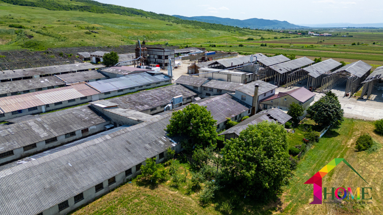 Teren 10.000 mp + Spatii Industriale