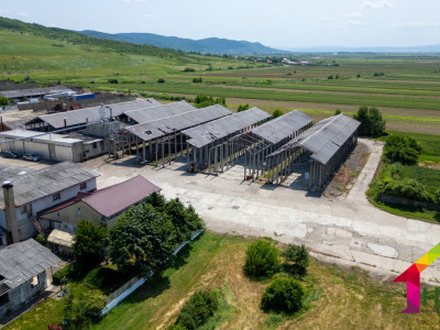Teren 10.000 mp + Spatii Industriale