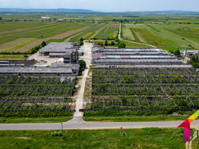 Teren 10.000 mp + Spatii Industriale Bacau