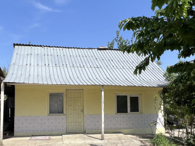 Casă și teren de 2200 mp, Ruși-Ciutea