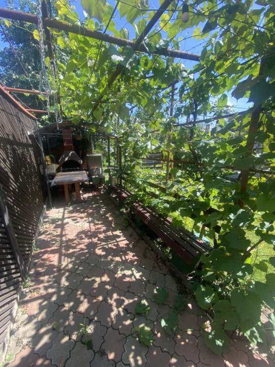 Casă cu etaj, 4 camere, zona Narcisa