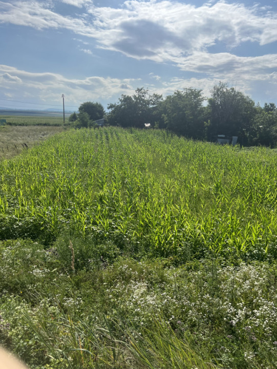 Casa cu gradina, teren 2200 mp, Saucesti