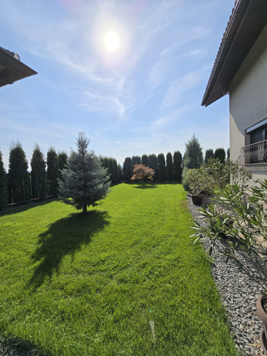Casa de Vis, Serbanesti