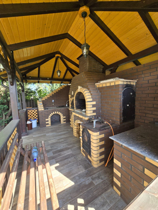 Casa de Vis, Serbanesti