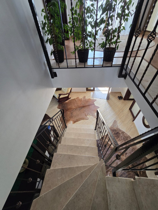 Casa de Vis, Serbanesti