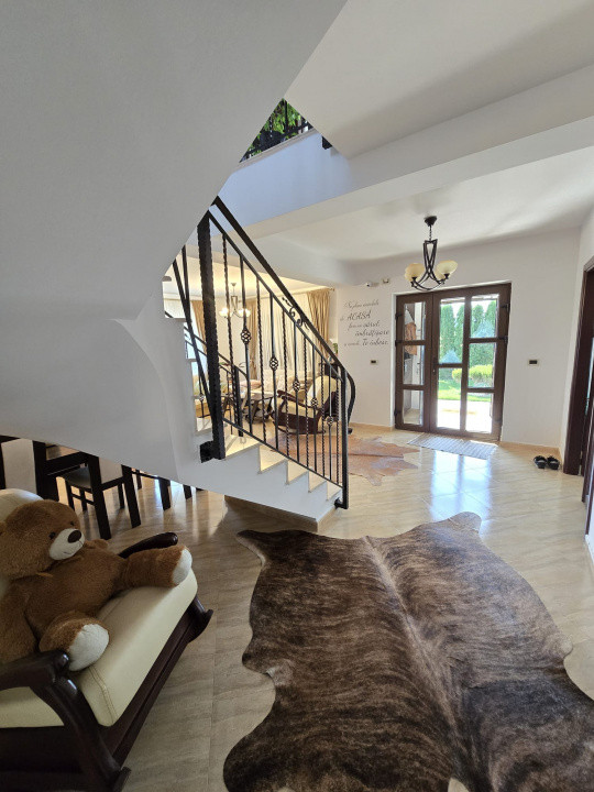 Casa de Vis, Serbanesti