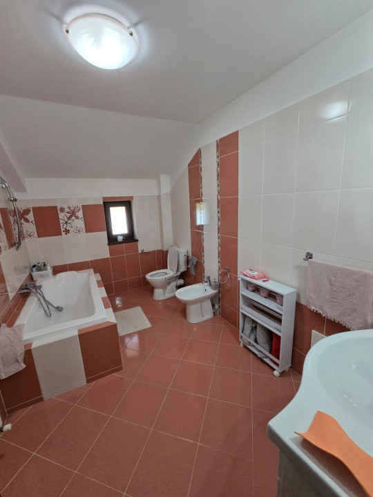 Casa de Vis, Serbanesti