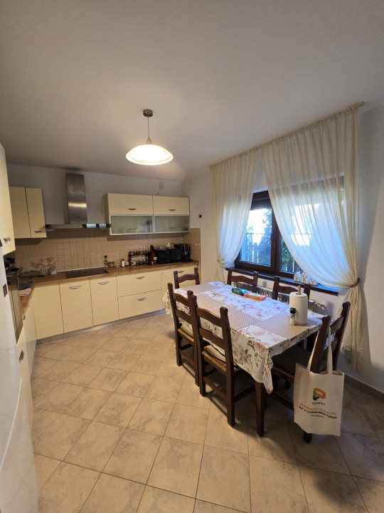 Casa de Vis, Serbanesti