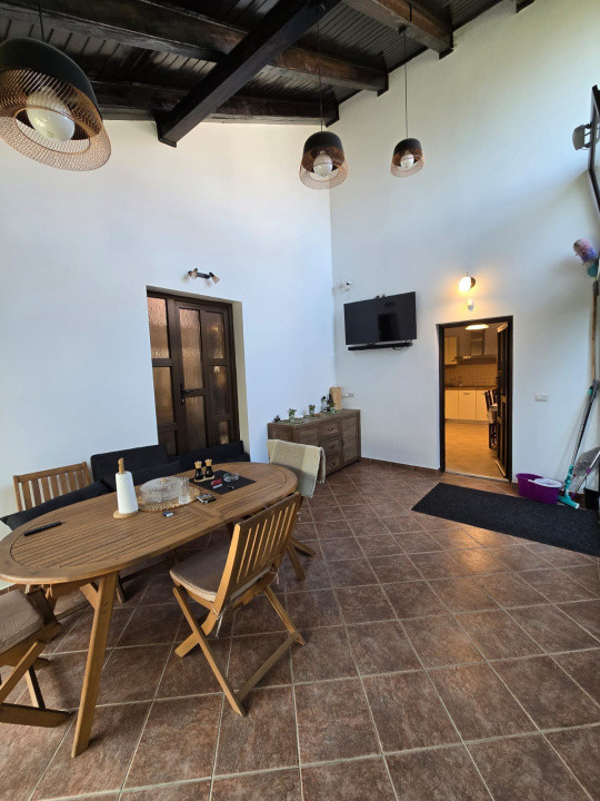Casa de Vis, Serbanesti