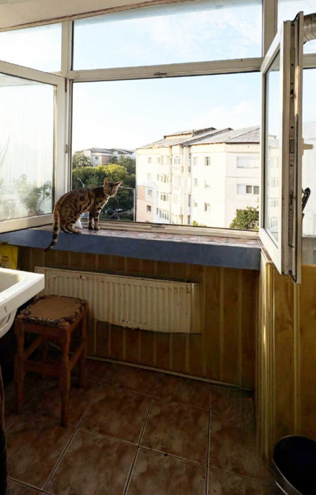 Apartament 2 camere, zona Nord