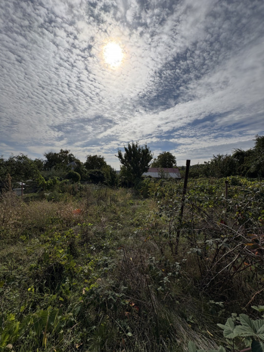 Teren de vânzare,Fântânele