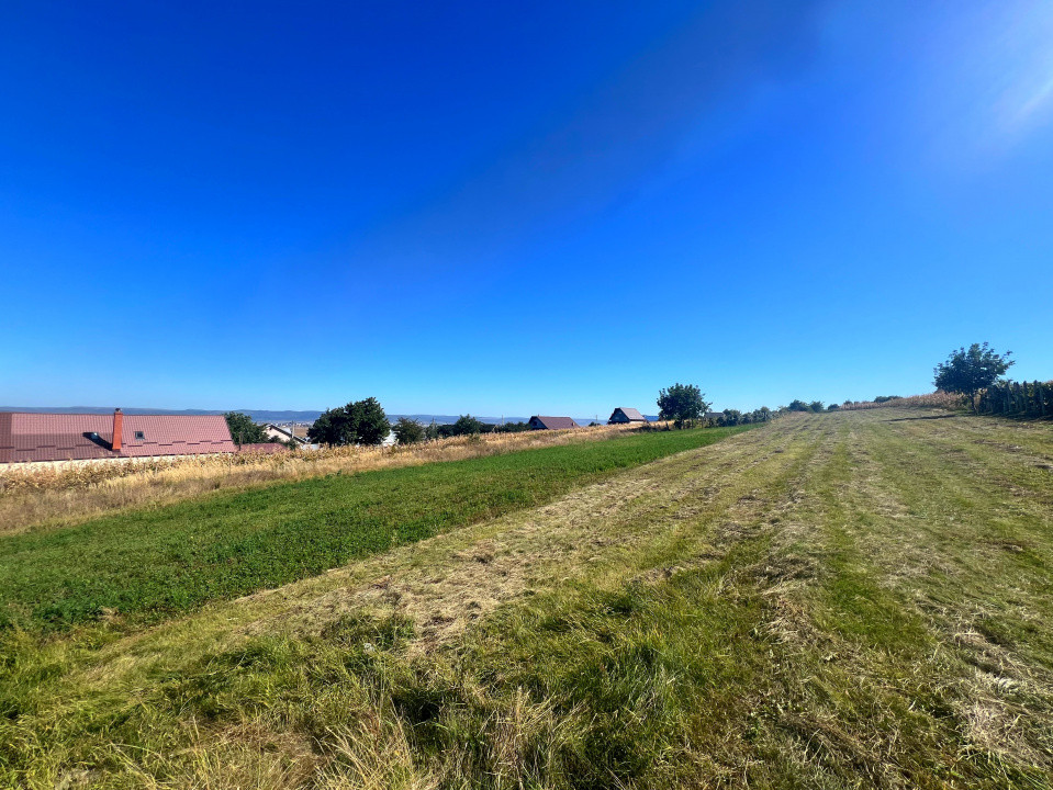 Teren intravilan - 1500 mp, Luizi-Calugara