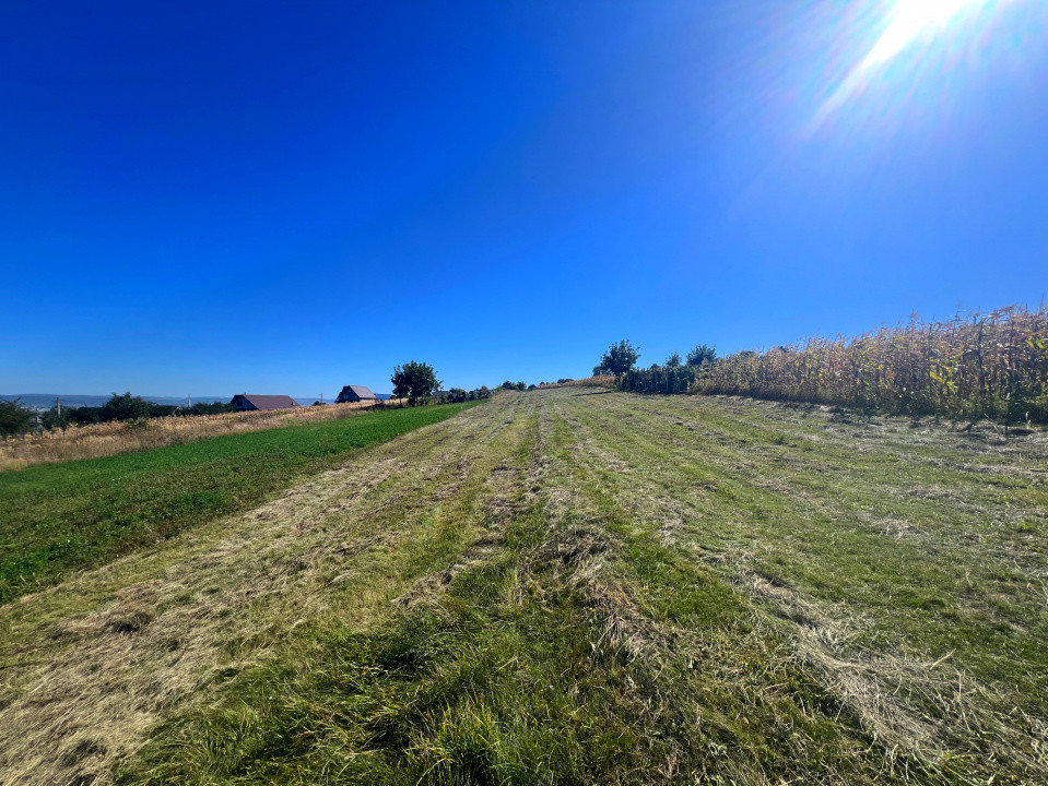 Teren intravilan - 1500 mp, Luizi-Calugara