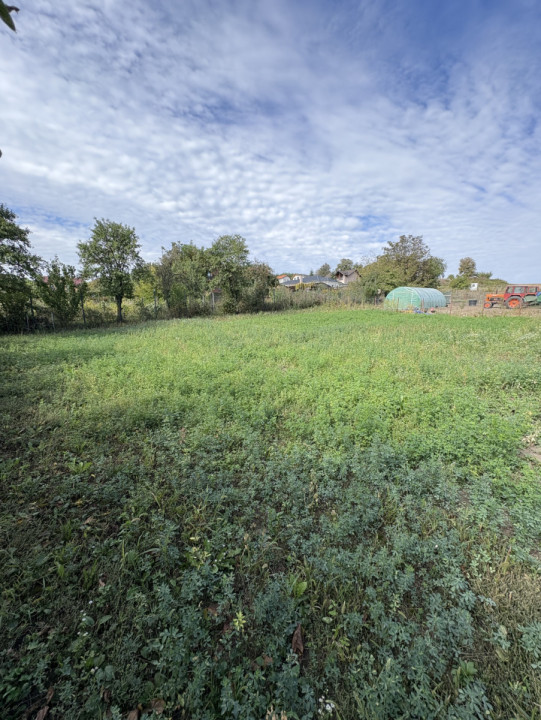De vânzare casă cu teren în Fântânele 