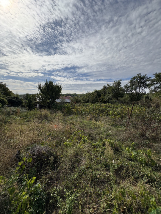 De vânzare casă cu teren în Fântânele 