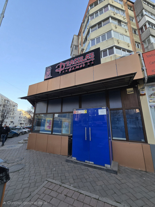 Spatiu Comercial Narcisa