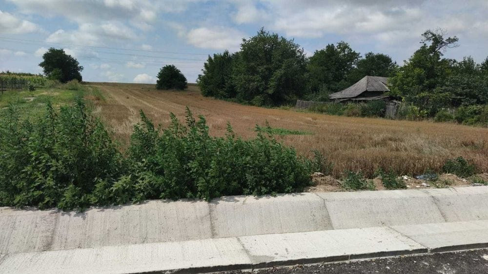 Teren intravilan la asfalt cu toate utilitatile-Filipesti